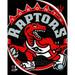 Photofile PFSAANP20601 Toronto Raptors Team Logo Sports Photo - 8 x 10