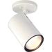 Nuvo Lighting 76/418 1 Light 5 Wide Accent Light Ceiling Fixture - White