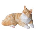 Maine Coon (Red Shaded Tabby) John Beswick