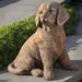 Campania International Retriever Puppy Statue, Copper in Gray/Blue | 14 H x 14.5 W x 11.5 D in | Wayfair A-535-AS