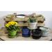 Campania International Garden Terrace 16-Piece Ceramic Pot Planter Set Ceramic | 5.5 H x 6.75 W x 6.75 D in | Wayfair 2516-AG