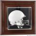 Kansas Jayhawks Brown Framed Wall-Mountable Mini Helmet Display Case