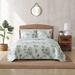 Tommy Bahama Home Serenity Palms by Tommy Bahama Cotton Coastal Single Quilt Cotton in Blue/Green | Full/Queen | Wayfair 211129