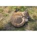 Hi-Line Gift Ltd. Tabby Cat Lying & Sleeping Statue in Orange | 4.5 H x 11 W x 8.25 D in | Wayfair 87728-B