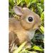 Hi-Line Gift Ltd. Sitting Rabbit Statue Resin in Brown | 4 H x 3 W x 5 D in | Wayfair 87739-B