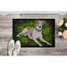Caroline's Treasures Isabella Greyhound Non-Slip Outdoor Door Mat Synthetics in White | 24 W x 36 D in | Wayfair AMB1045JMAT