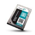 Seagate Enterprise Performance 15K HDD ST300MP0005 300 GB Internal Hard Drive - Black