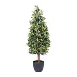 Vickerman 403136 - 48" Bay Tree in Pot (T161048) Generic Home Office Tree