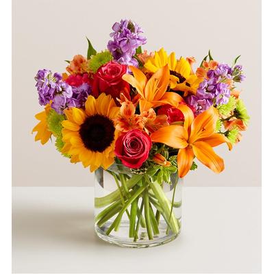 1-800-Flowers Flower Delivery Floral Embrace Large | Fast 4-Hour Shipping Available | Happiness Delivered To Their Door