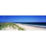 Panoramic Images PPI38688L Cape Hatteras National Park Outer Banks North Carolina USA Poster Print by Panoramic Images - 36 x 12