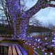 Festive Lights - ConnectPro Outdoor LED String Fairy Lights - Connectable - IP65 Rubber Black Cable | Wedding, Christmas, Garden, Commercial, Party (Blue w/Plug, 10m)