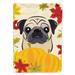 Carolines Treasures BB2068CHF Fawn Pug Thanksgiving Flag Canvas House Size Large multicolor