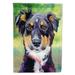 Carolines Treasures 7373CHF English Shepherd Flag Canvas House Size House Size multicolor