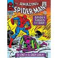 Marvel "Spiderman End of the Green Goblin" Canvas Print, Cotton, Multi-Colour, 3.20 x 60.00 x 80.00 cm