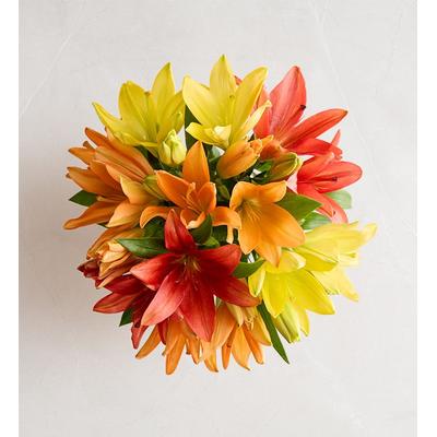 1-800-Flowers Seasonal Gift Delivery November Sun Lily Single Bouquet Only