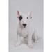 Hi-Line Gift Ltd. Bull Terrier Statue in White | 15.75 H x 10.25 W x 16 D in | Wayfair 87725