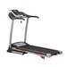 Sunny Health & Fitness SF-T4400 Treadmill