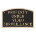 Montague Metal Products Inc. Property Under Video Surveillance Statement Garden Plaque Metal | 13 H x 21 W x 0.25 D in | Wayfair SP-50L-W-BG