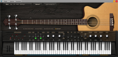 Ample Sound Ample Bass Acoustic v4