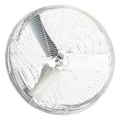 DAYTON 36B8WT-G Corrosion Resistant Industrial Fan, Ceiling, IBeam, Wall Mount,