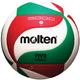 Molten V5M5000 Men's NCAA Flistatech Volleyball, Red/Green/White, 1