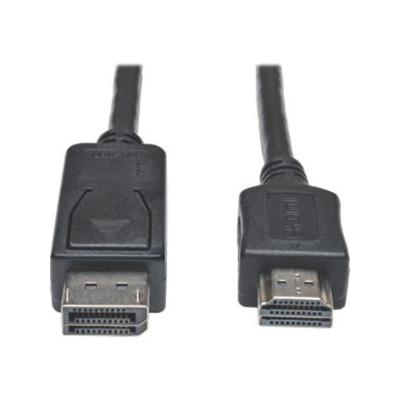 10ft Displayport HD Cable Adptr