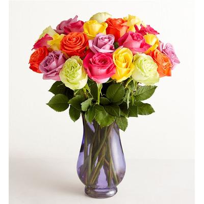 1-800-Flowers Flower Delivery Two Dozen Assorted Roses W/ Purple Vase | 100% Satisfaction Guaranteed | Happiness Delivered To Their Door