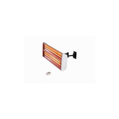 Wall Mount/Hanging Dual Electric Patio Heater HEA21531