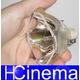 Nackte Philips Lampe SONY VPL HW15 Bulb-LMP-H201 Nackte Philips Lampe