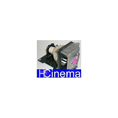 Ruby Lampe OPTOMA EP759 Ruby-BL-FS300A / SP.89601.001 Lampe Ruby Image