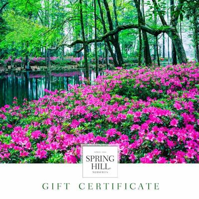 E-Gift Certificate – Landscape Design