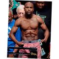 Floyd Mayweather Poster 16x24 Poster Medium Art Poster 16x24 Unframed Age: Adults Rectangle Best Posters