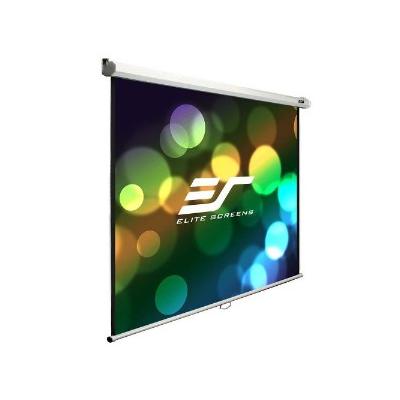 Screens B Series 49 in. H x 87 in. W Manual Projection Screen with White Case M100H