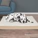 Petmaker Orthopedic Sherpa Memory Foam Dog Mat Polyester/Memory Foam in Black/Brown | 4 H x 44 W x 35 D in | Wayfair M320143
