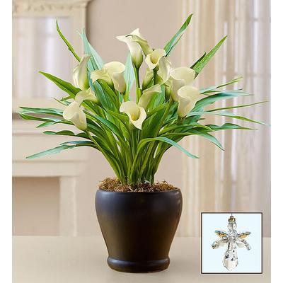 1-800-Flowers Everyday Gift Delivery Loving Memory White Calla Lily Large W/ Guardian Angel | Happiness Delivered To Their Door