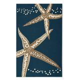 Marina Starfish Outdoor Rug - Aqua, 8' X 10'/Aqua - Grandin Road