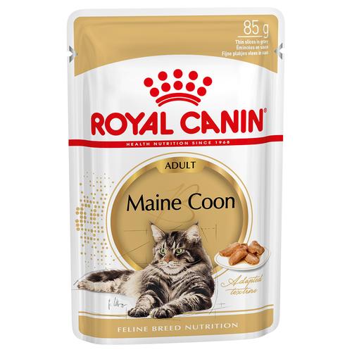 24 x 85g Royal Canin Maine Coon Nassfutter für Katzen