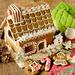 Fox Run Brands 16 Piece Gingerbread House Bake Set Stainless Steel/Plastic in Gray/White | Wayfair 4532