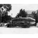 Whale Shark C1913. /Na 45-Foot Long Whale Shark On A Trailer In Florida. Photographed C1913. Poster Print by (18 x 24)