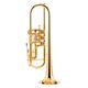 Peter Oberrauch Firenze Trumpet Bb 11,05 GP