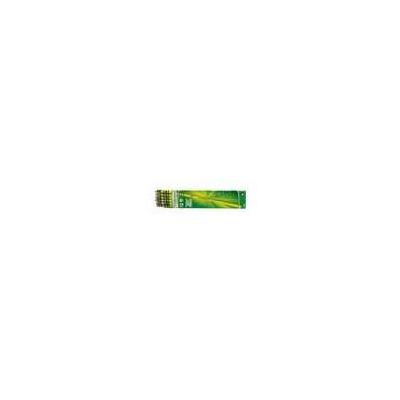 Dixon Ticonderoga 13881 Wood Pencil - 12 Pk