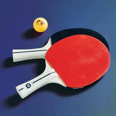 Set of 2 Outdoor Ping Pong Paddles - Frontgate