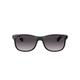 Ray-Ban Sunglasses RB4202 Black, 55