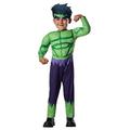 Hulk Costume, Kids Avengers Assemble Toddler Outfit, Toddler, Age 1 - 2 years, HEIGHT 2’ 11” - 3’ 4"