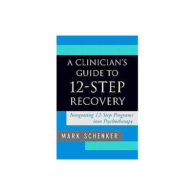 A Clinician's Guide to 12-Step Recovery by Mark D. Schenker (Hardcover - W W Norton & Co Inc)
