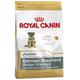 Royal Canin German Sheperd 30 Junior 12 kg, 1er Pack (1 x 12 kg)