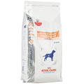 Royal Canin VET DIET Gastro Intestinal Low Fat (LF 22) 1,5 kg