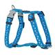 Trilus DH-ST-TQ-15 Nylon Hundegeschirr, Sterne, türkis, S