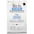 Brit Care Junior Large Salmon & Potato getreidefrei Hundefutter für Welpen, 12 kg