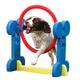 Rosewood 02497 Agility-Ring für kleine Hunde